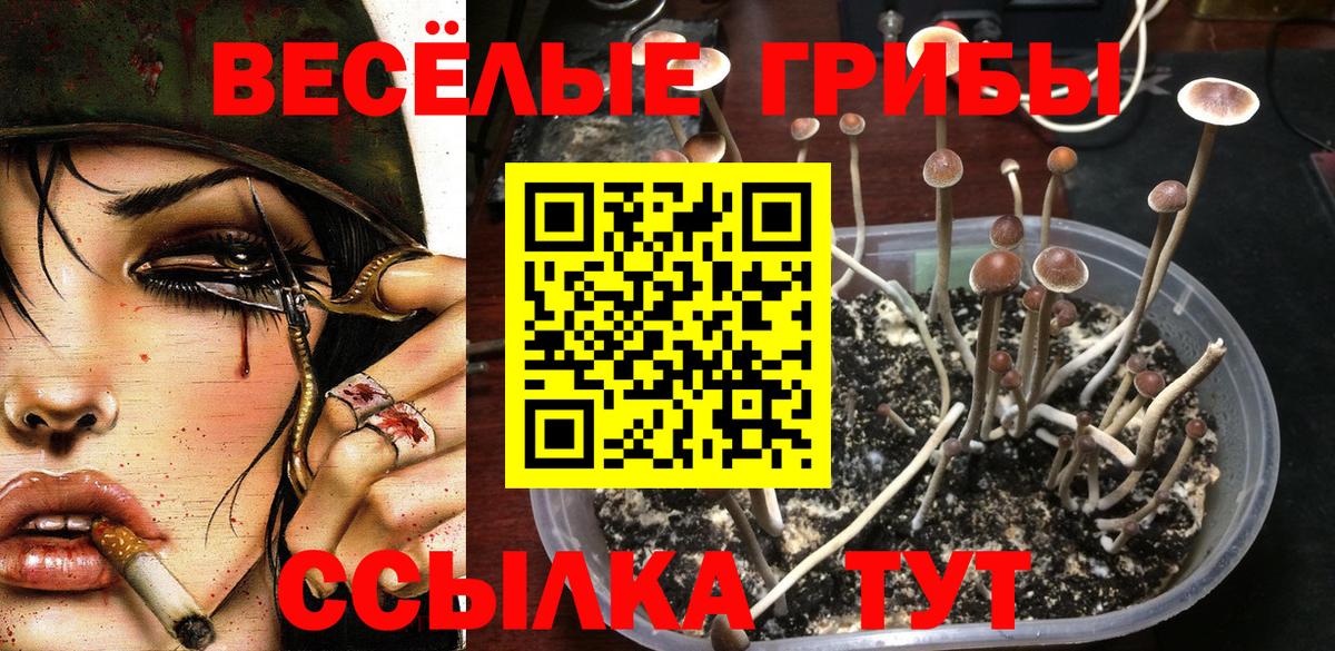 Усинск  где можно купить   Вход с VPN  Псилоцибиновые грибы мицелий 