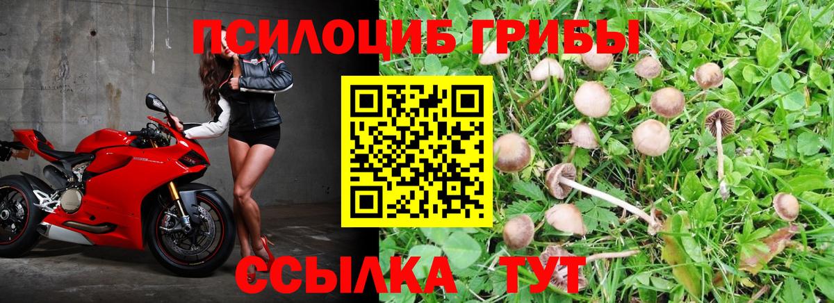 Галлюциногенные грибы прущие грибы Усинск